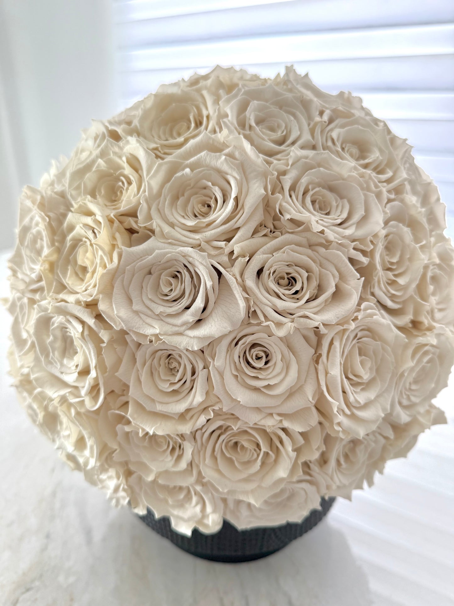 Ivory Preserves Roses