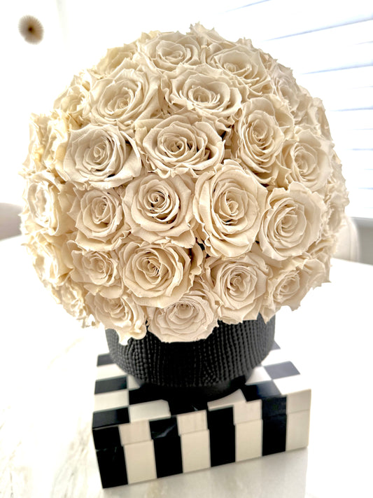 Ivory Preserves Roses